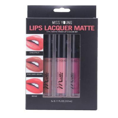 China 3 Color Beauty Gift Waterproof Matte Lip Makeup Liquid Lipstick Lip Gloss Seller for sale