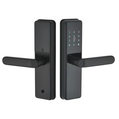 China Smart Handle Lock Electronic Rfid Card Biometric Fingerprint Lock Tuya Wifi Wireless Smart Lock Z3031 for sale