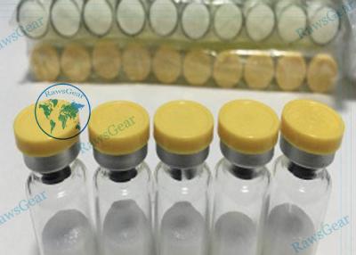 China Growth Differentiation Factor 8 Peptide 98% Purity GDF-8 1MG / VIAL for sale