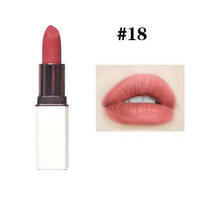 China OEM Lipstick Cream Lipstick Custom Waterproof Cosmetics Private Label Nude Matte Lipstick for sale