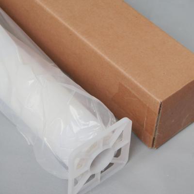 China Wholesale Price Polyester Canvas Roll Fabric for Eco solvent UV Latex Print for sale