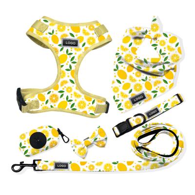 China Viable Custom Printed Dog Harness Set Personalized Neoprene Cute Breathable Pet Harness Luxury Dog Leash Set for sale