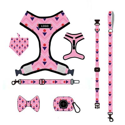 China ODM Viable Multicolor Dog Harness High Quality Customizable Adjustable Dog Harness Set For Medium Small Dog for sale