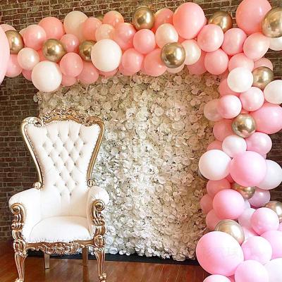 China 10 Inch Latex Macaron Balloon Set Baby INS Wind Birthday Wedding Room Party Decoration Border Hot Selling Pink Balloon for sale