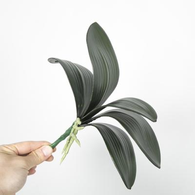 China CREATIVE High Quality Real Touch Latex Phalaenopsis Moth Orchid Leaf for sale