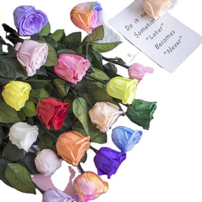 China Wholesale Decoration Exclusively Handcrafted Rose Real Rose Dried Natural Dry Rose Manufacturers Wedding Party for sale