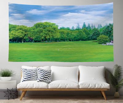 China High Quality Custom Viable Logo Printed Wall Hanging Tapestry Blanket For Home Decor for sale