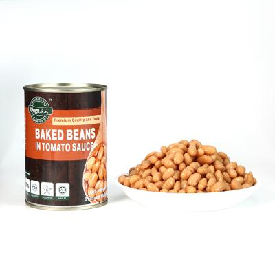 China Canned Vegetables For Sale Salty Flavor Canned Beans Baked In Tomato Sauce zu verkaufen