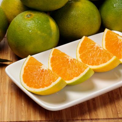 China Fresh Summer Fresh Valencia Fresh New Crop Citrus Oranges Te koop