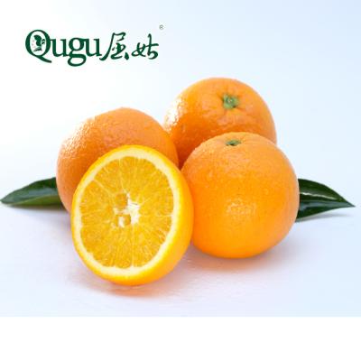 Китай Alley fresh fresh sweet delicious fresh citrus late orange oranges on sale продается