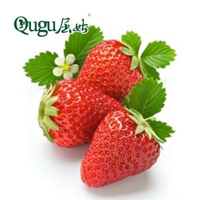 Chine Canned healthy and natural fruit canned bakery and food processing canned strawberry à vendre