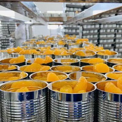 China Canned Healthy And Green Food Canned Instant Canned Fruit Tangerines OEM en venta