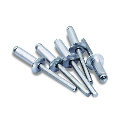 China Industry Gutter Installation Aluminum Core Pulling Aluminum Mushroom Head Core Rivet Silver or Black Head Decoration Fastener for sale