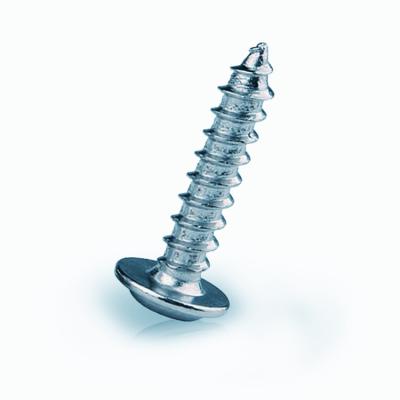 China Pan China Screw Manufacturer Tapping Screws For Wholes for sale