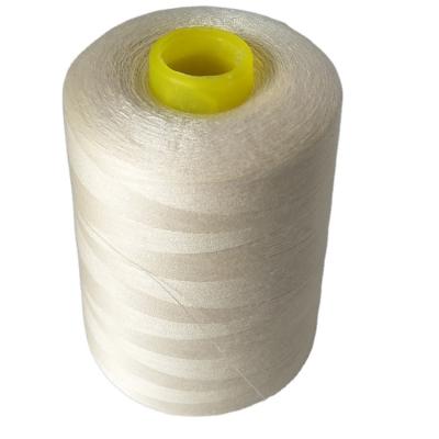 China High Tenacity Wholesale Color 40/2 Beige 100% Polyester 3000yds Sewing Thread For Sewing Machines for sale