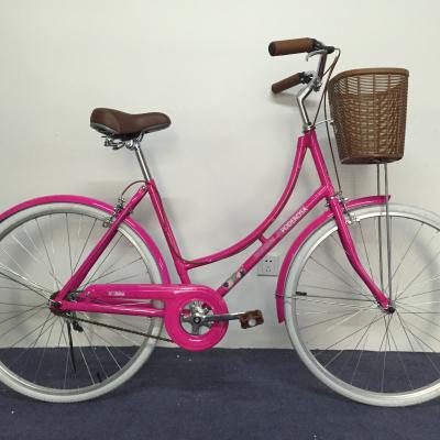 China Hot-selling style 26 inch retro leisure city popular Dutch Brazilian single-speed bicycle from Chinese factory for sale