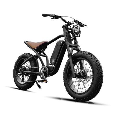 China High Quality Long Range Aluminum 20 Inch Fat Tire Electric Bike 1000w 1500w Powerful Electric Bicycle for sale