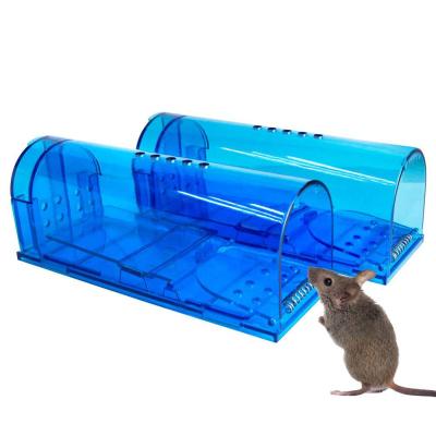 China Best Price Disposable Rat Killer Bait Parasite Reusable No Humane Killing Mouse Trap Cage for sale