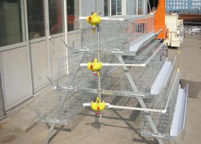 China Chicken cage for sale