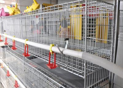 China Chicken cage for sale