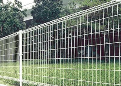 China wire mesh fence for sale