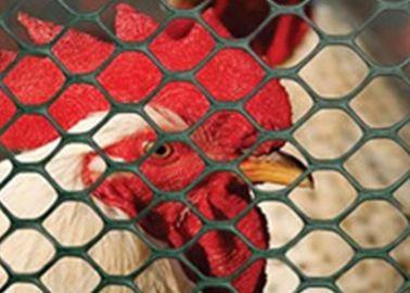 China Chicken cage for sale