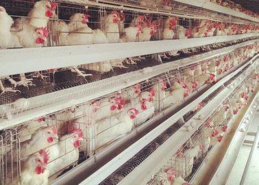 China Chicken cage for sale