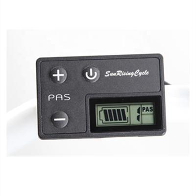 China Plastic Customized Cheap 5 Section Battery Voltage Indictor Odometer LCD Display for sale