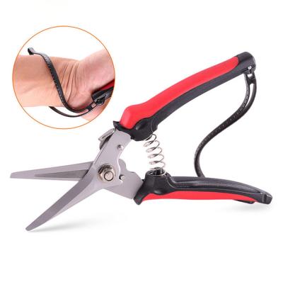 China Different Types of Anti-Slip Handle Garden Bypass Pruner Shears, Pruners Incisor Shears for sale