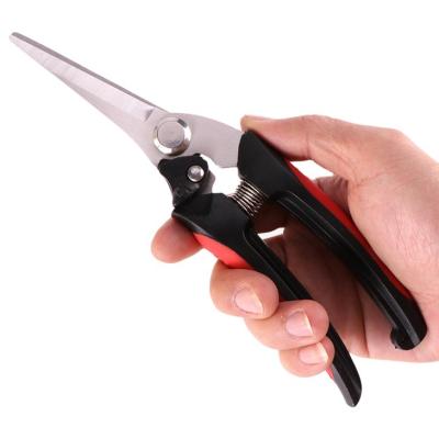 China Anti-slip handle most popular plant pruning scissors, durable using garden shears scissors for sale