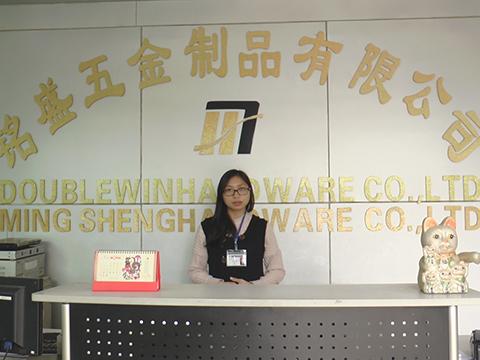 Verified China supplier - Doublewin (Dongguan) Hardware Co., Ltd.