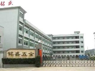 Verified China supplier - Doublewin (Dongguan) Hardware Co., Ltd.