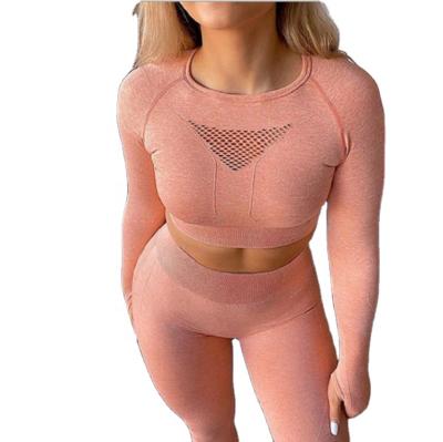 China Women Breathable Fitness Sport Unique Seamless Wear 2 Piece Arm Warmers And Sports Bra Sportswear Set Urban Manufacturer for sale