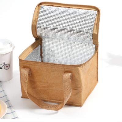 China Insulated Portable Recyclable Thermal Insulated Tyvek Lunch Bag Customized Wholesale for sale