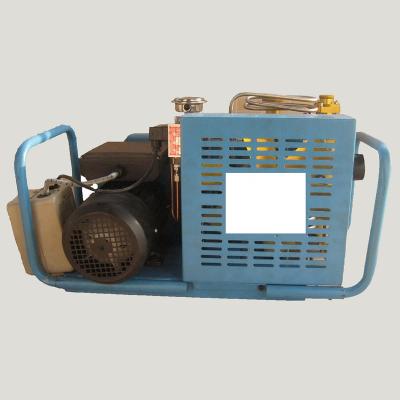 China Quiet scuba air compressor belt driven for industrial tank filling 50 / 60hz for sale