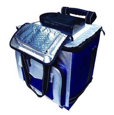 China COOLER CANS bag with DC 12V car plug for car use for sale