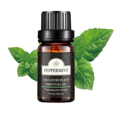 China Peel Revitalizer Private Label 10ml Peppermint Oil Peppermint Essential Oil 100% Pure and Natural for sale