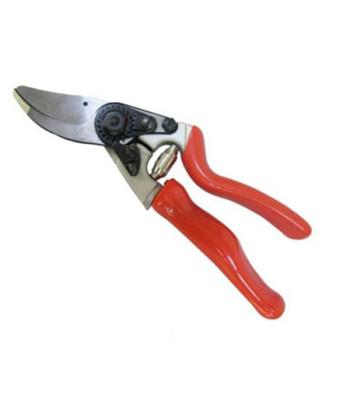 China Anti-Slip Handle Bypass Grape Scissors /Hand Shears for sale