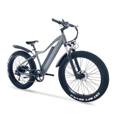 China Aluminum Alloy City Tire E Bike Adult Cheap Fast Sharing Electric Mountain Bikes Fat Road 1000W Ebike Price for sale