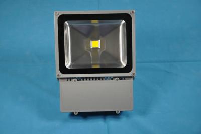 China COB 100W Waterproof LED Flood Lighting For Outdoor Tunnel, Bridge,  Street Floodlight / Floodlights for sale