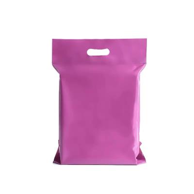 China Eco - Friendly Custom Mailing Bag Purple Mailing Bag White Mailing Bag With Handle for sale