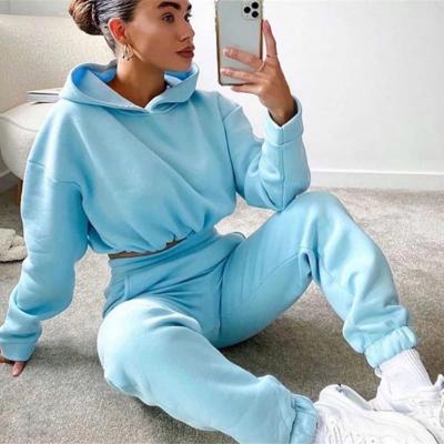 China Breathable In Running Women's Fitness Tracksuit Set Warm Casual Long Sleeve Crop Hoodie And Sweatpants Top Sportswear for sale