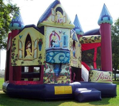 China Princess Bounce House 5 In 1 Pink Inflatable Castle With Slide For Sale for sale