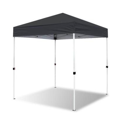 China Waterproof Waterproof Printing Pop Up Outdoor 2x2 Gazebo Canopy Trade Show Tents for sale