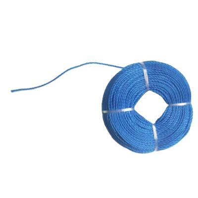 China Waterproof Nylon PP HDPE Monofilament 1-20 Mm PP Polyethylene Twisted Rope for sale