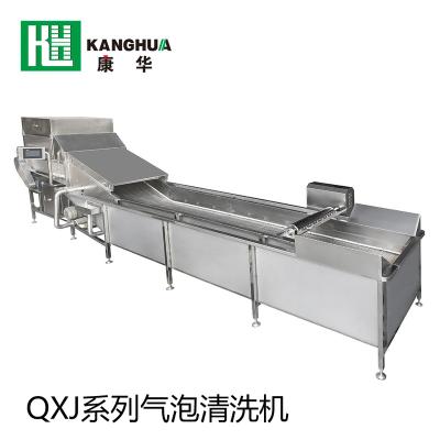 China Dairy Factory China Hot Sale Fruit Washing Machine With Dryer for sale