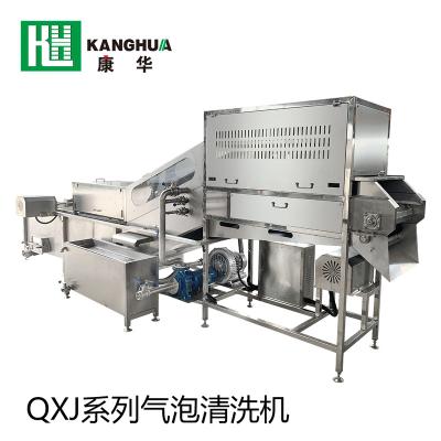 China Automatic Dairy Factory Fruit and Vegetable Washing Machine Automatic Fruit Vegetable Herbs Bubble Cleaning Machinery Air Bubble Seal Line for sale