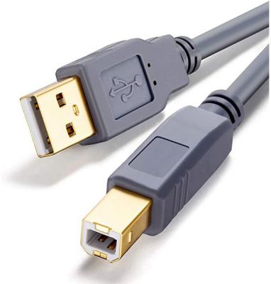 China Scanner USB 2.0 Printer Type A Male to Type B Male Printer Scanner Cable for HP, Canon, Lexmark, Epson, Dell, Xerox, etc. for sale