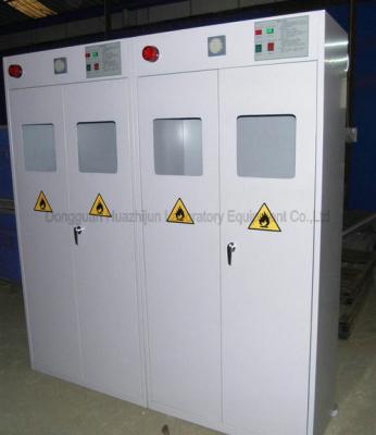 Chine Lab Gas Cabinet Company | Fournisseur de Cabinet de gaz de laboratoire | Prix de Cabinet de gaz de laboratoire à vendre