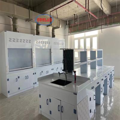 China Low-Noise Chemical Fume Hood Lab Fuming Hood with PP  Design Safe Laboratory Noise ≤60dB for sale